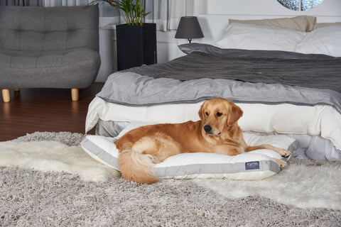 PETTAIL Orthopedic Microfiber Calming Big Dog Bed for Small and Large Dogs, Non Slip Bottom 24.5" 29.5" 40" Medium Large XL - Pettail